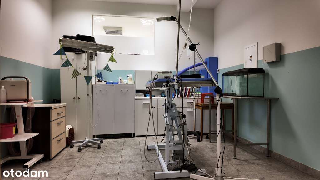 Wolnostojący budynek usługowy w atrakcyjnej lokali-9