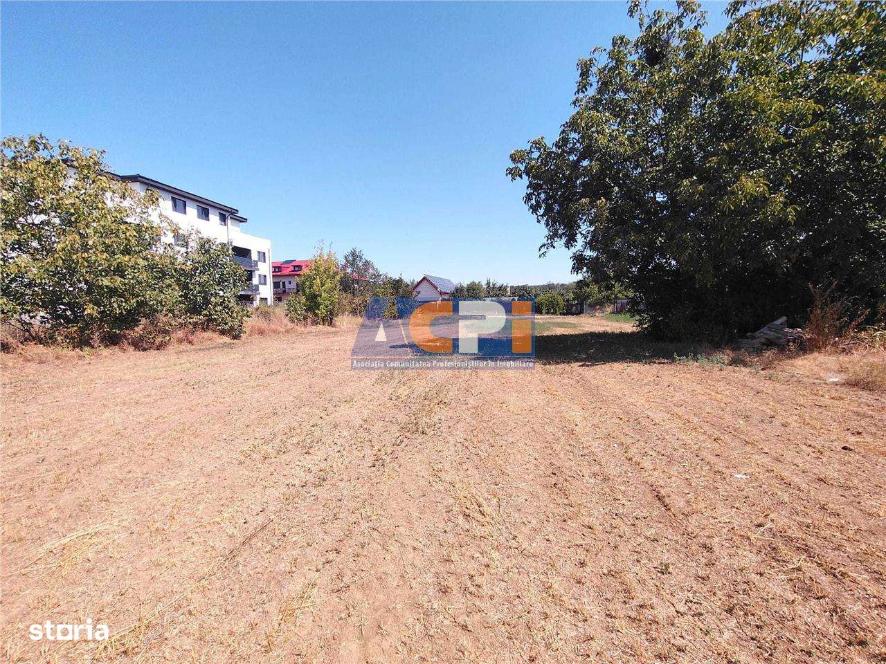 VANZARE TEREN INTRAVILAN  MAGURELE  2530 mp zona CODRULUI - Imagine principală: 2/5