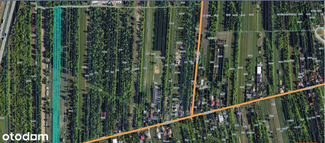 Działka inwestycyjna ok Lisińca - Pełny obrazek: 4/9