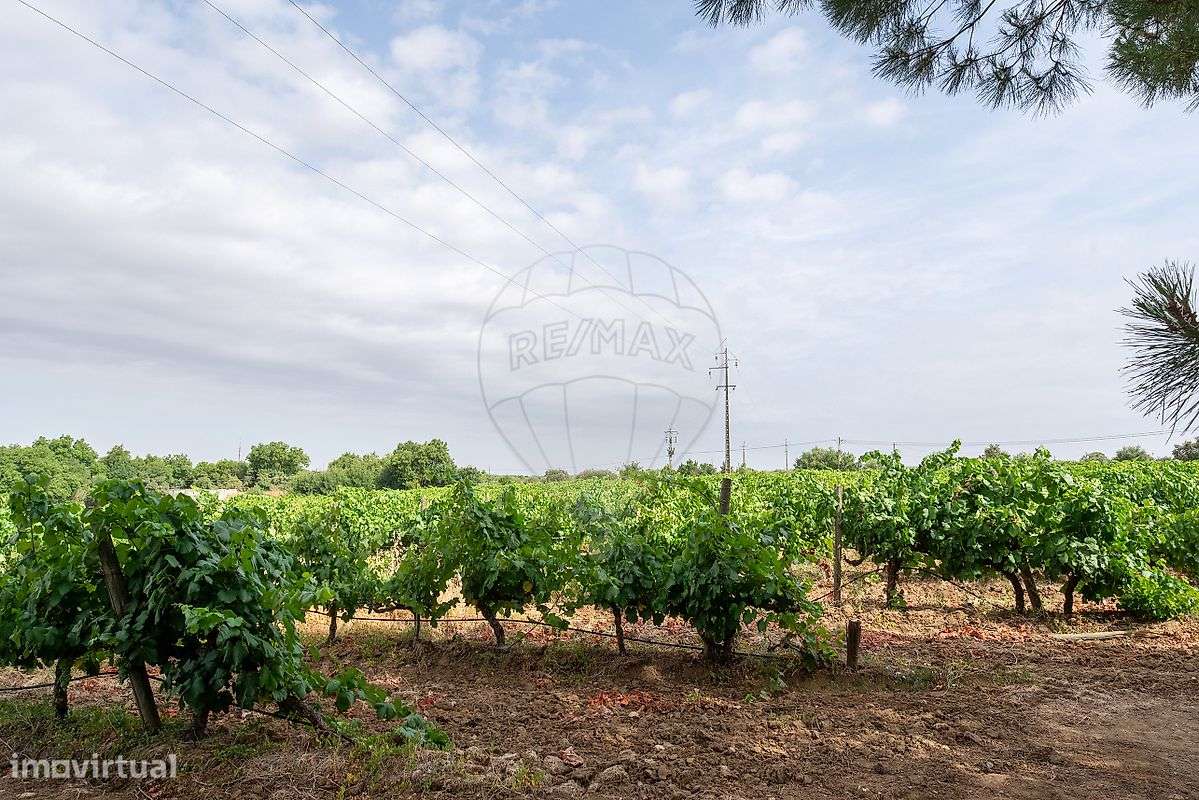 Quinta T8 para venda-33