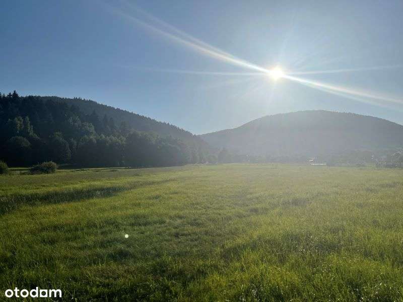 Działka w atrakcyjnej okolicy blisko Zimnika - Pełny obrazek: 5/11