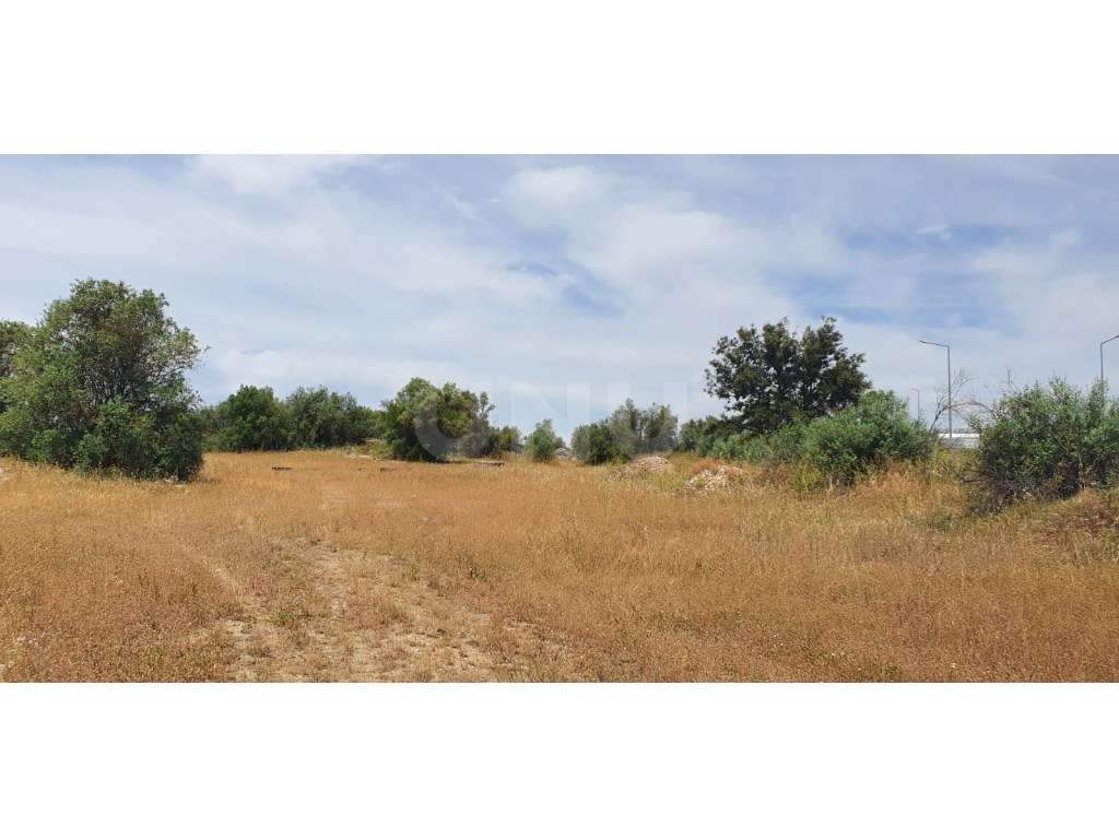 Terreno em Reguengos de Monsaraz-7