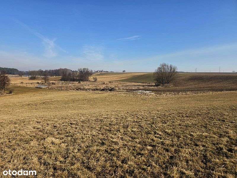 Działka rolna z ogromnym potencjałem - Stara Biała k. Płocka-3