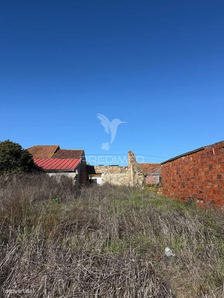 Oportunidade Única no Ribatejo Armazém Agrícola para Restaurar | ~3... - Grande imagem: 4/31