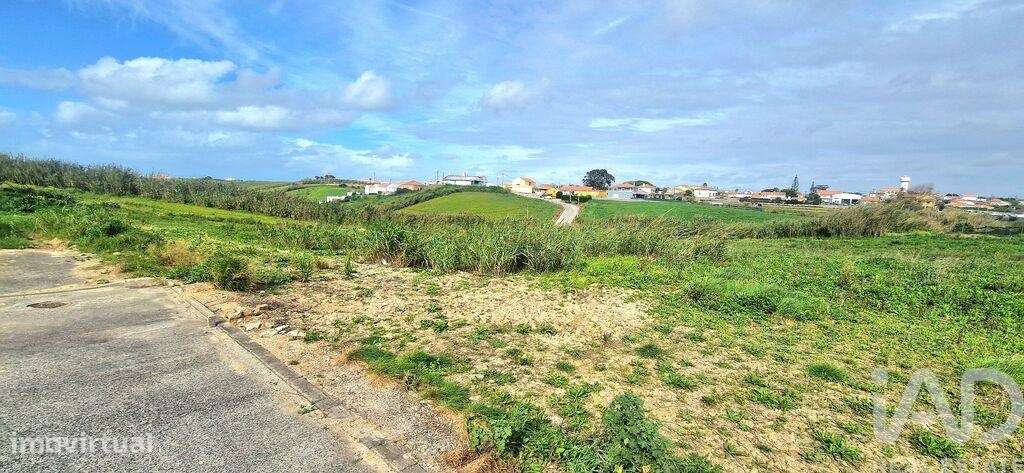 Terreno em Ericeira de 10001,00 m2 - Grande imagem: 4/19