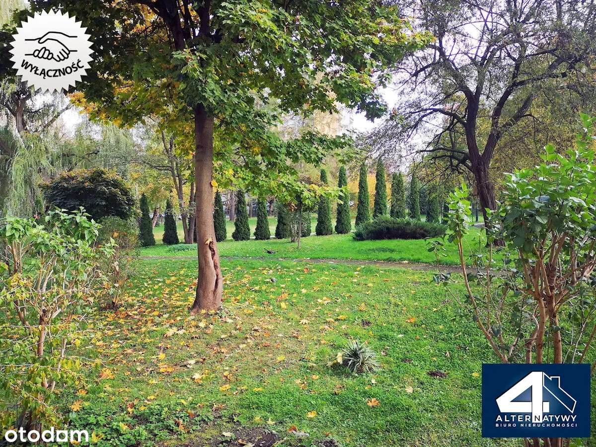 Pokój z kuchnią 29 m2 bez barier arch. - Pełny obrazek: 5/12