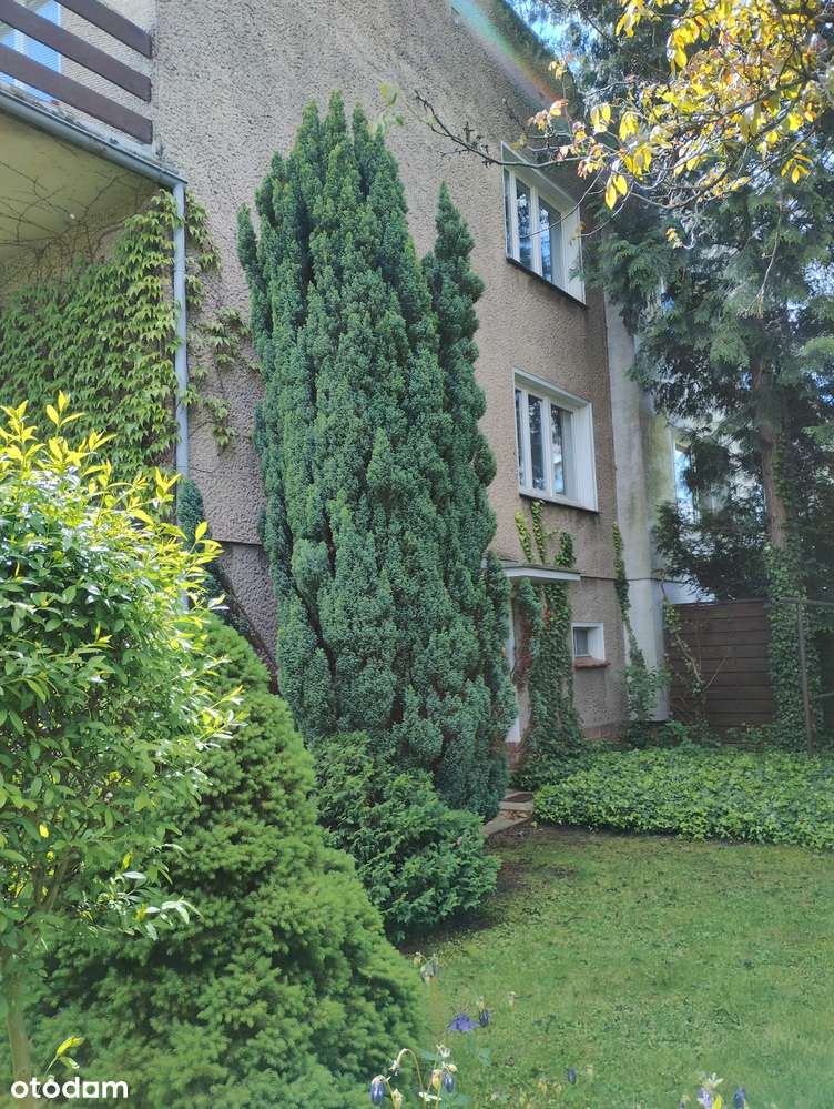 Dom z dużym potncjałem w świetnej lokalizacji - Pełny obrazek: 4/12