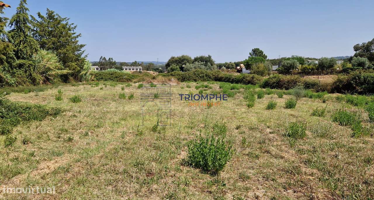 Terreno Urbano com Armazém - Grande imagem: 5/5