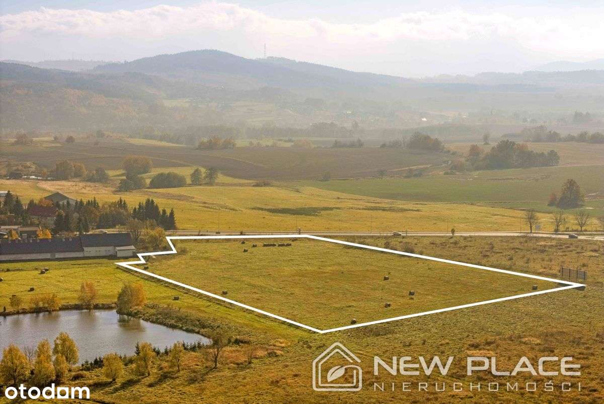 Przemysłowo-usługowa, mpzp, 2ha - Nowa Cena! - Pełny obrazek: 5/10