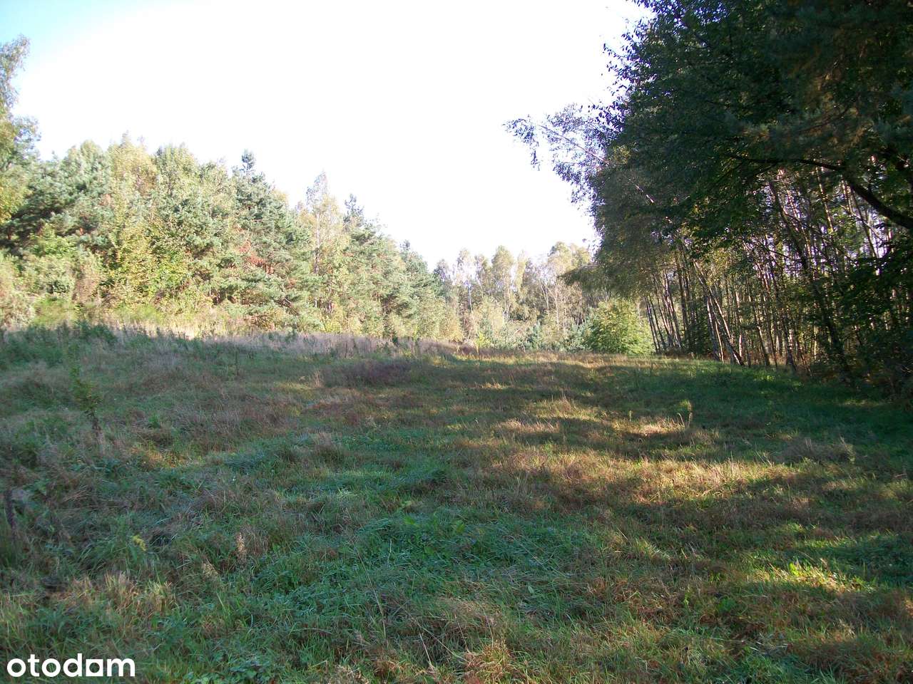 Zrębice gm.Olsztyn 0,375.ha , 1.2ha-2