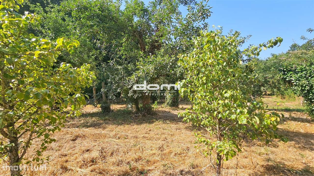 Terreno agrícola nas margens do Rio Sul – São Pedro do Sul &#127807; - Grande imagem: 4/11