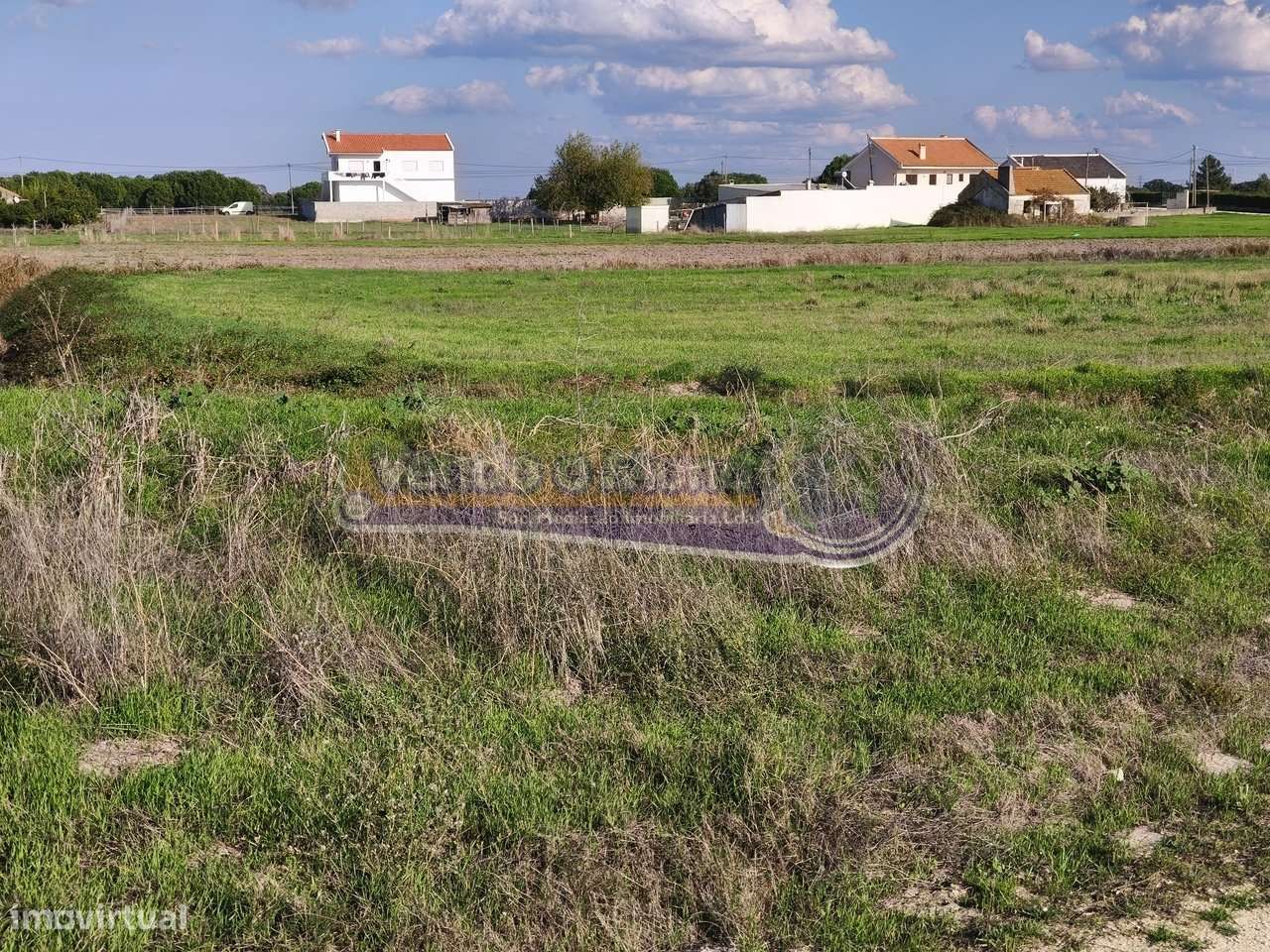 Terreno em Porto Alto (PALT345) - Grande imagem: 5/18