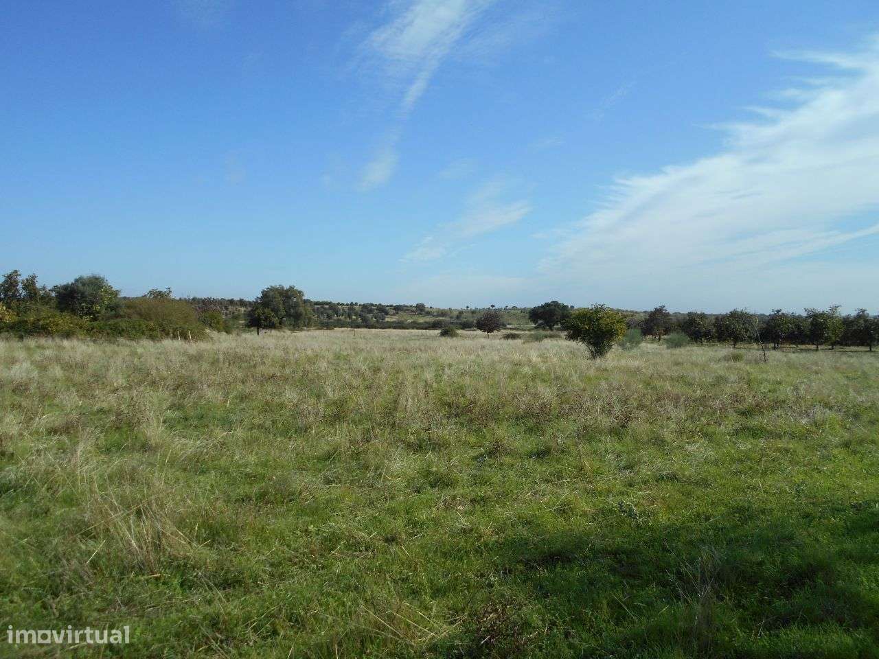 Quinta - Grande imagem: 5/12