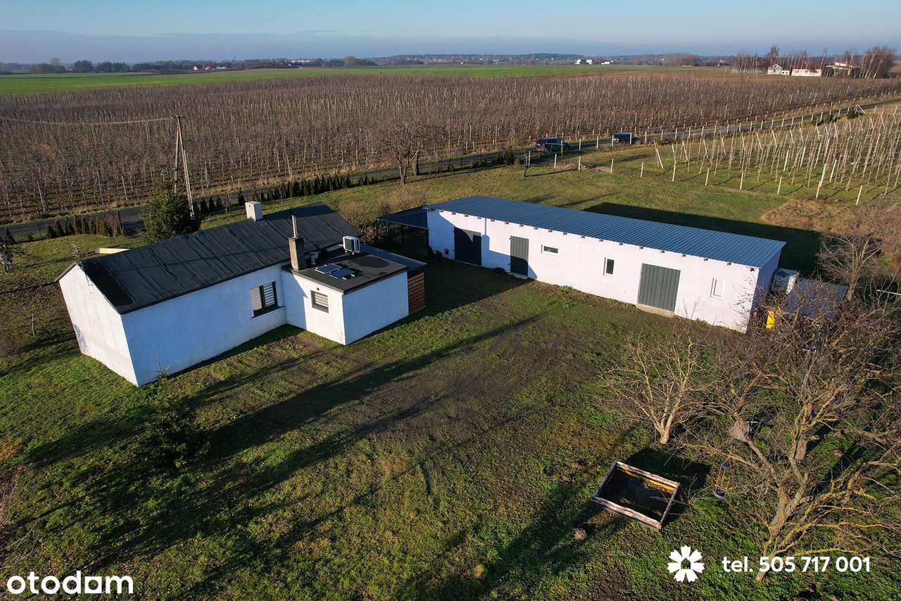 Siedlisko na Kujawach z dużą działką - Pełny obrazek: 4/17