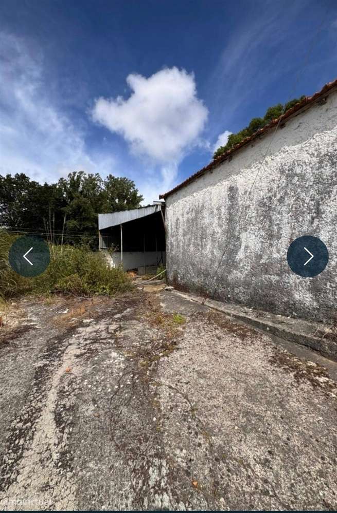 Prédio com 3 Habitações, Garagem e Terreno em Grijó-19