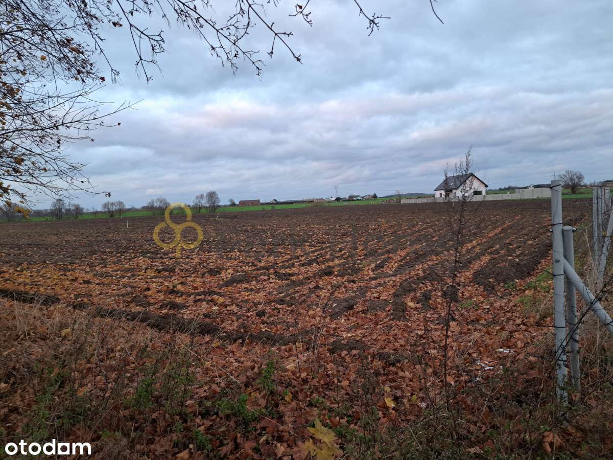 Piękne miejsce na nowy dom - Pełny obrazek: 4/7