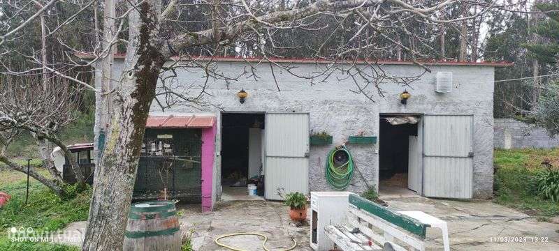 Vendo casa M5 com terreno piscina ,com muita paz e sucegos - Grande imagem: 5/5