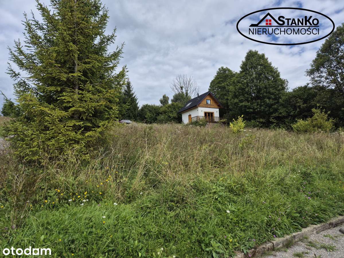 Bieszczady, Wetlina, działka z domkiem - Pełny obrazek: 4/12