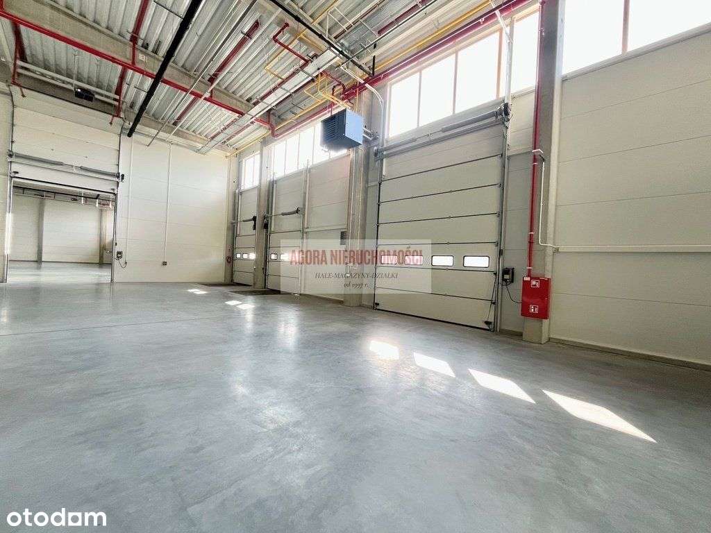 Magazyn 1910 m2 Balice 2 doki + brama "0" 18 zł/m2 - Pełny obrazek: 2/6