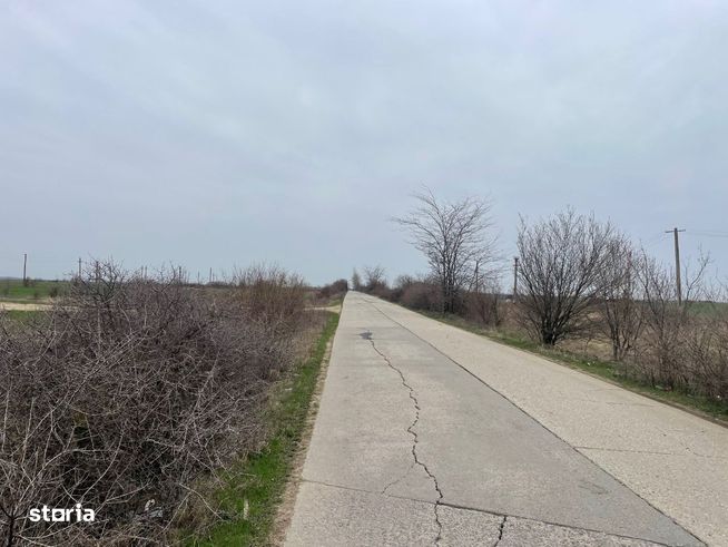 Giurgiu -Marsa Teren Agricol 8.5 Ha Deschidere 80m-1