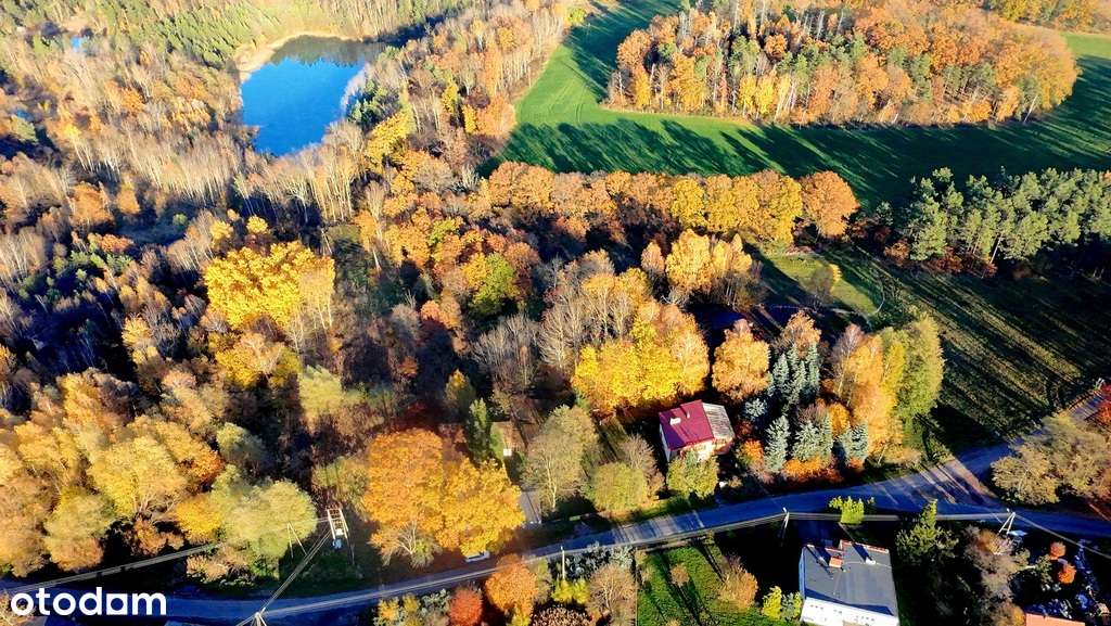 Dom do wprowadzenia z dużym ogrodem przy granicy - Pełny obrazek: 4/20