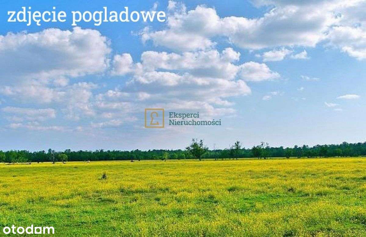 Działka 20 ar z warunkami zabudowy, 4886zł za ar!-2