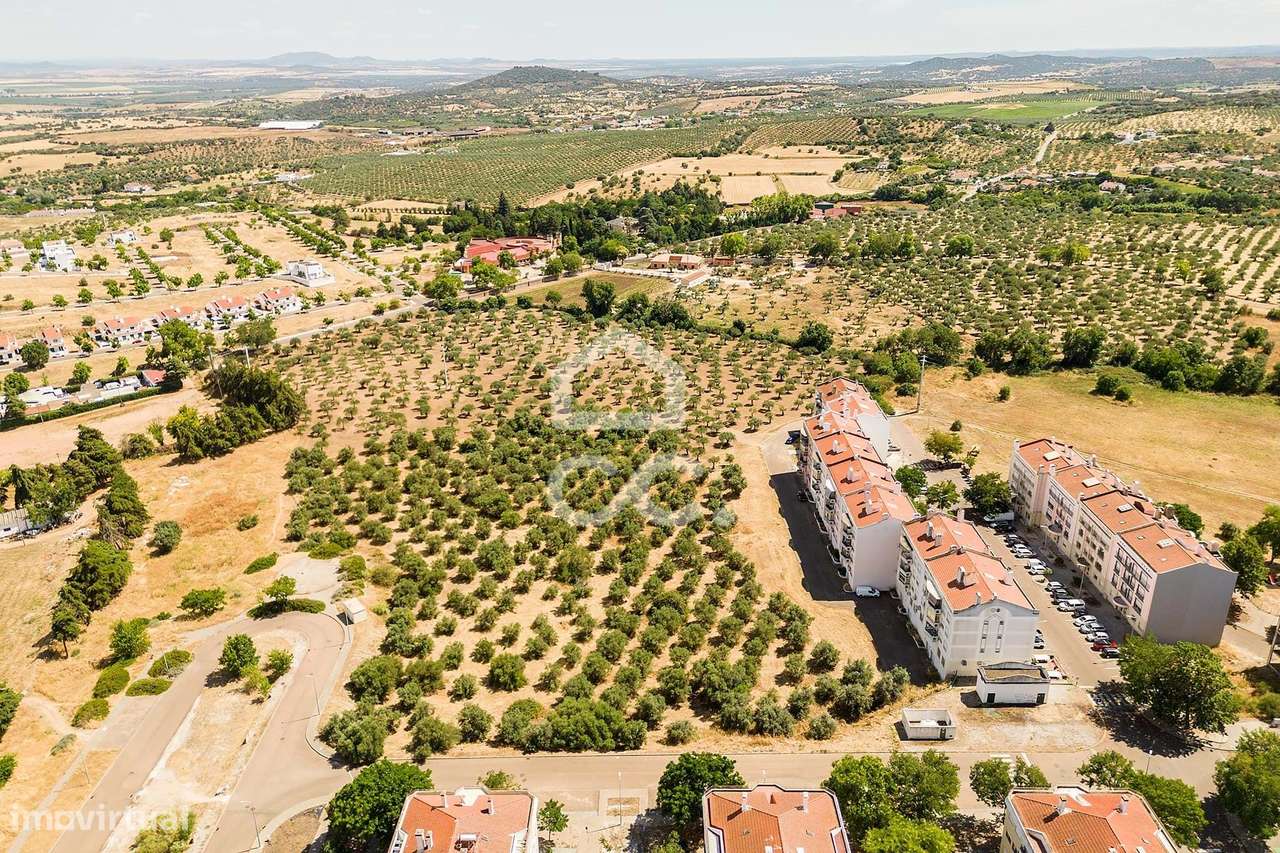 Terreno de 15335m² c/ Viabilidade de construção | Elvas - Grande imagem: 5/19
