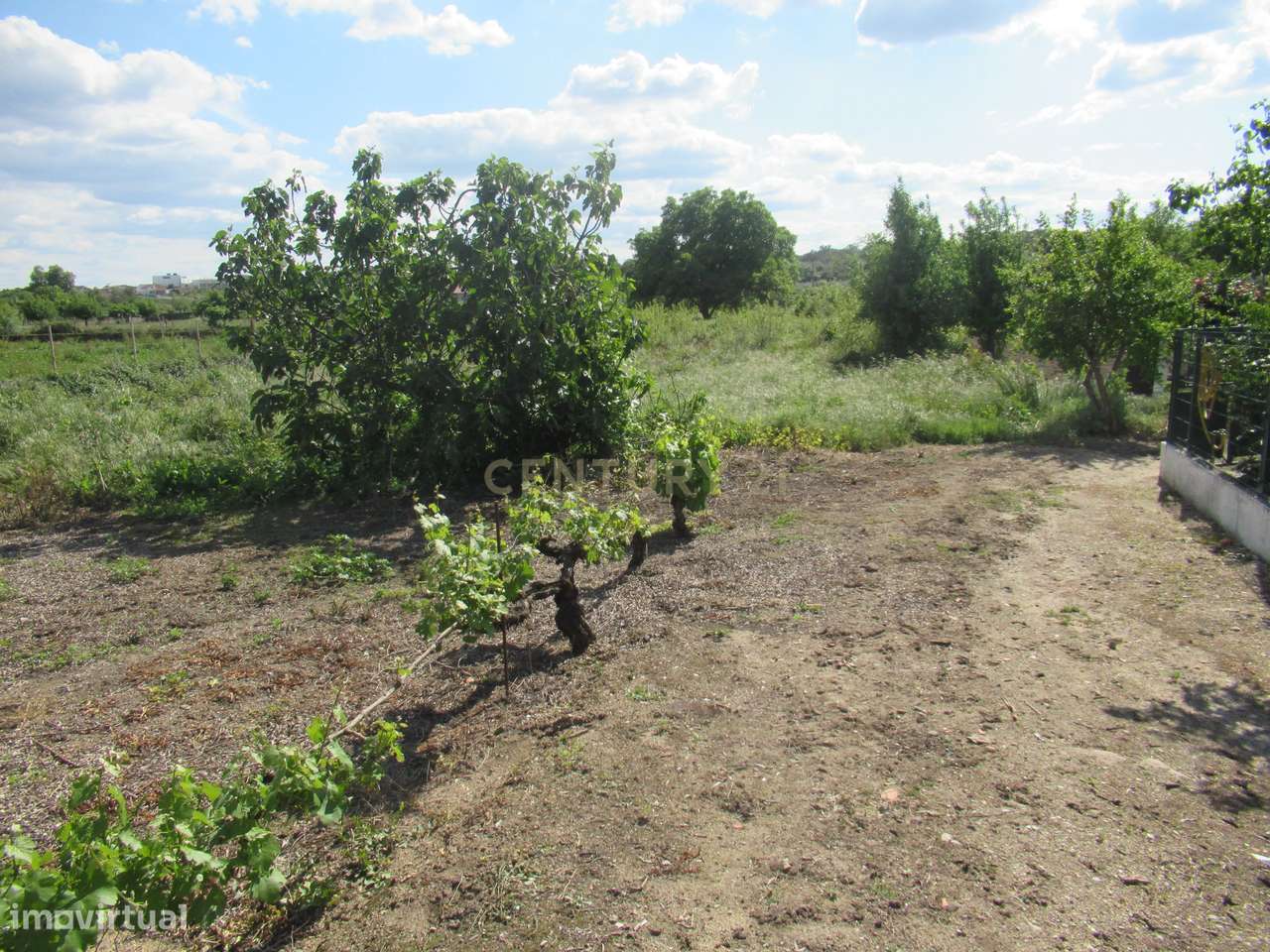 Terreno Rústico | Escalos de Baixo, Castelo Branco - Grande imagem: 2/10