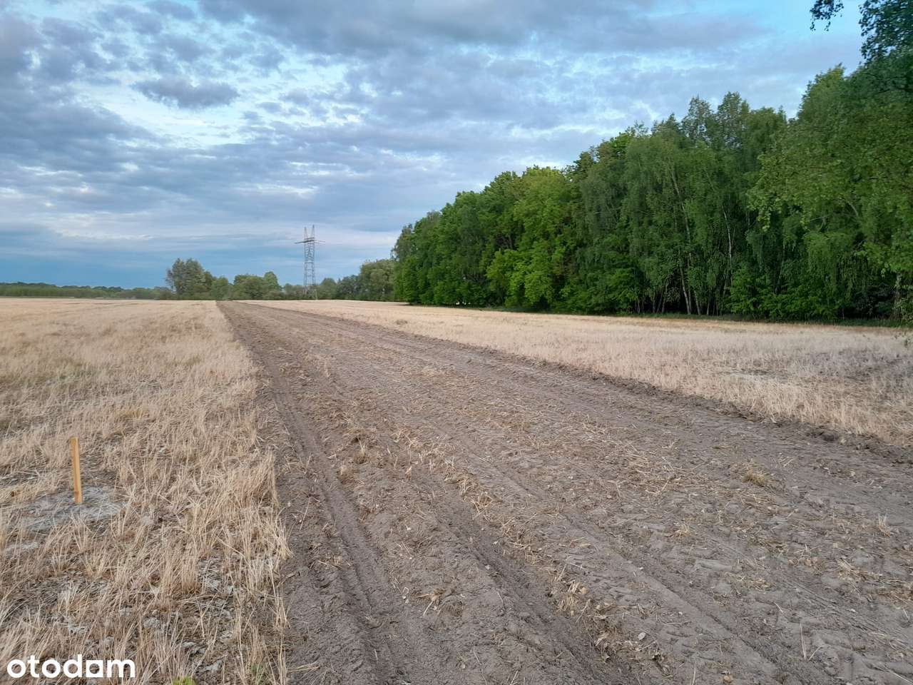 14 działek do wyboru z warunkami zabudowy w Strzelcach Górnych-11