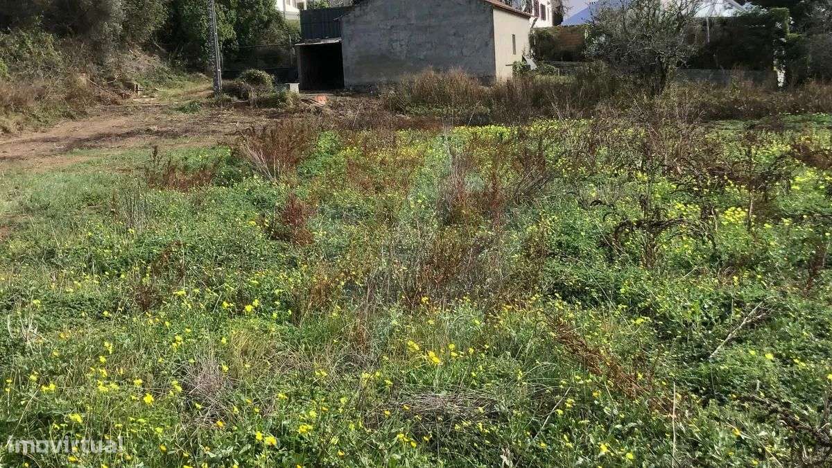 Quintinha com Armazém - Grande imagem: 4/4