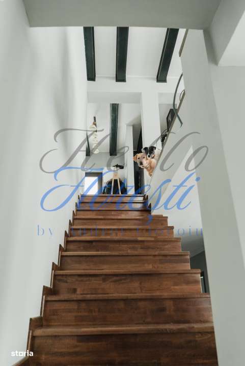 Vila 4 camere zona Damul-Rotund - Imagine principală: 5/10