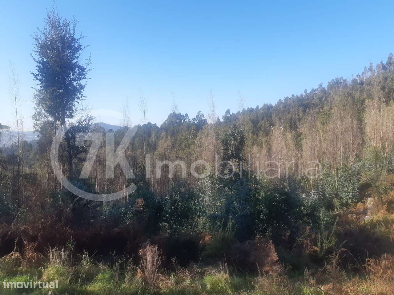 Terreno em Penhalonga-13