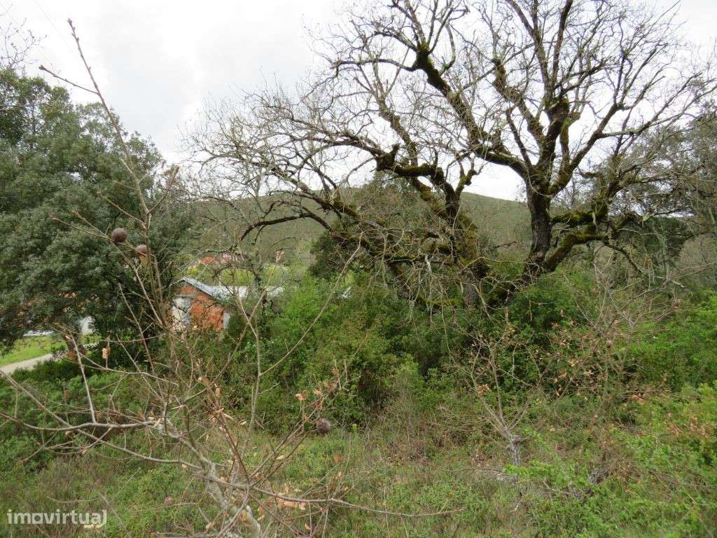 Terreno para construção de moradia - Grande imagem: 3/5