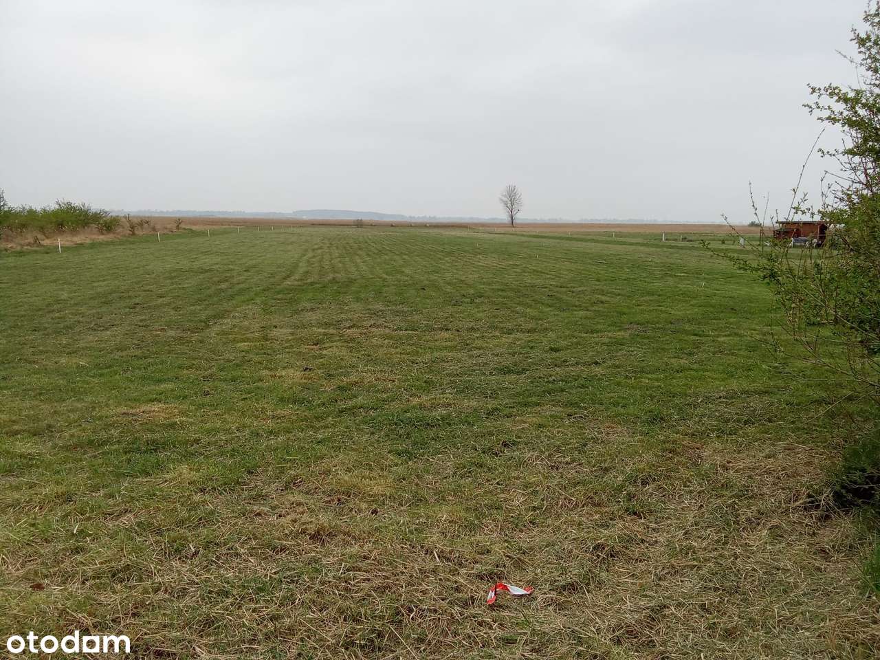 Działka nad Miedwiem z dostępem do wody - Pełny obrazek: 4/11