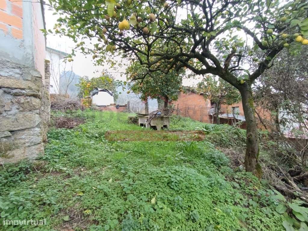 Moradia T2 C/Quintal - Castelões - Tondela-5