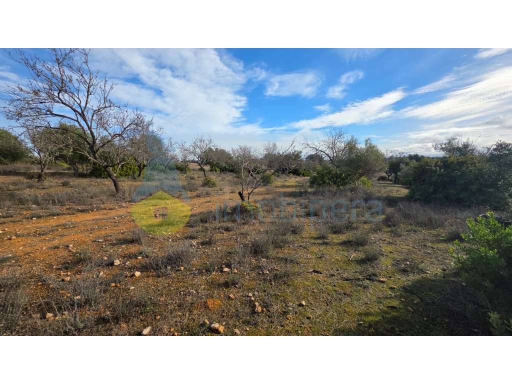Terreno Rústico com 3730m2 em Guia, Albufeira-5