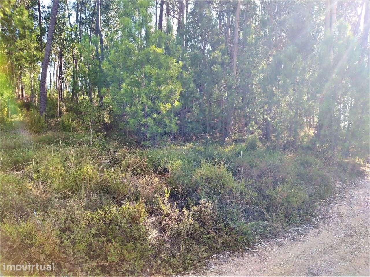 Terreno Para Construção - Grande imagem: 3/5