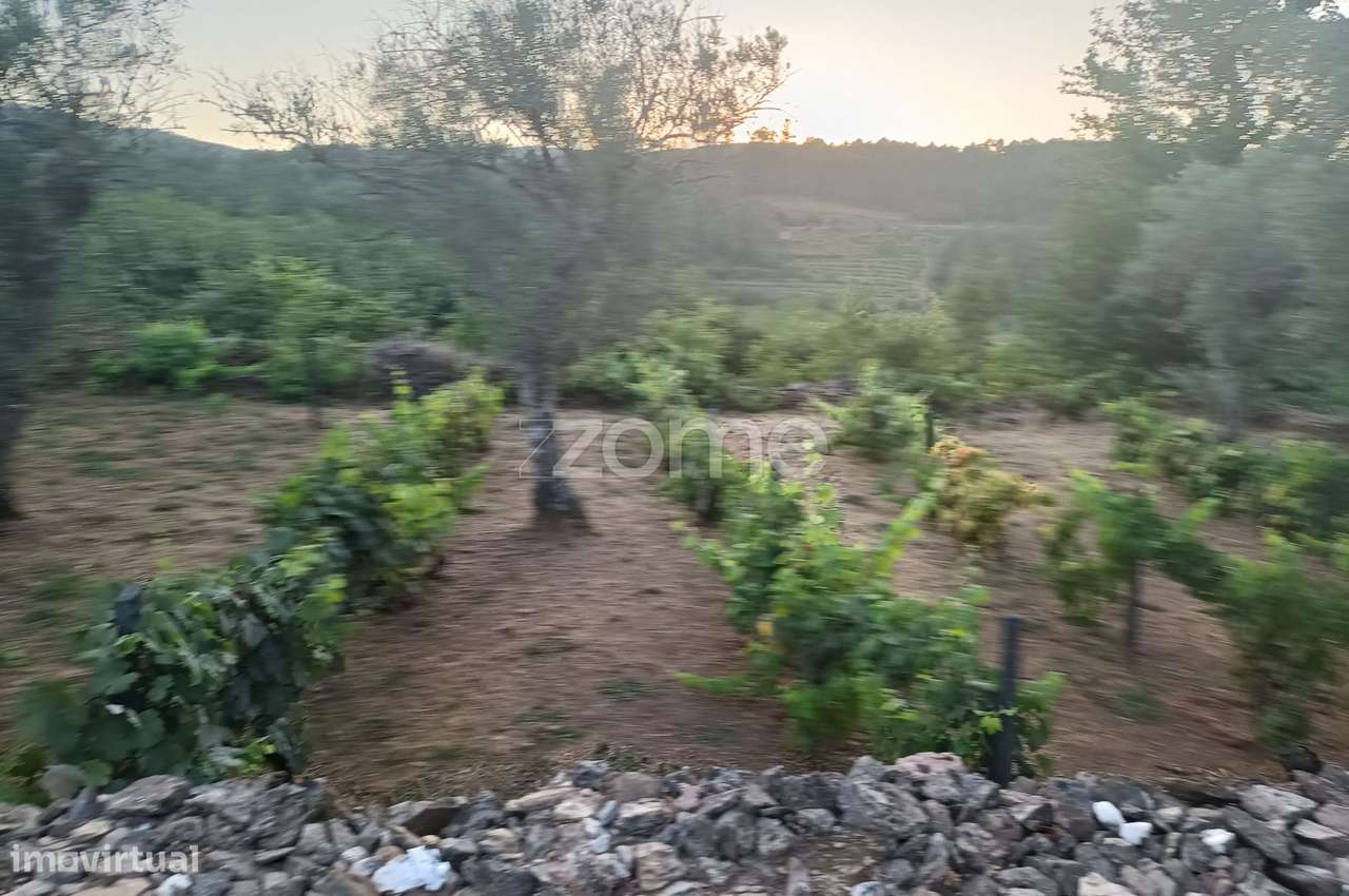 Construção rural em granito com potencial de ampliação e remodelaçã... - Grande imagem: 5/8