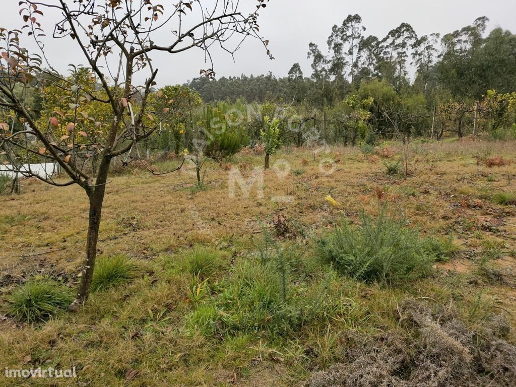 Terreno para Construção em Guetim, Espinho