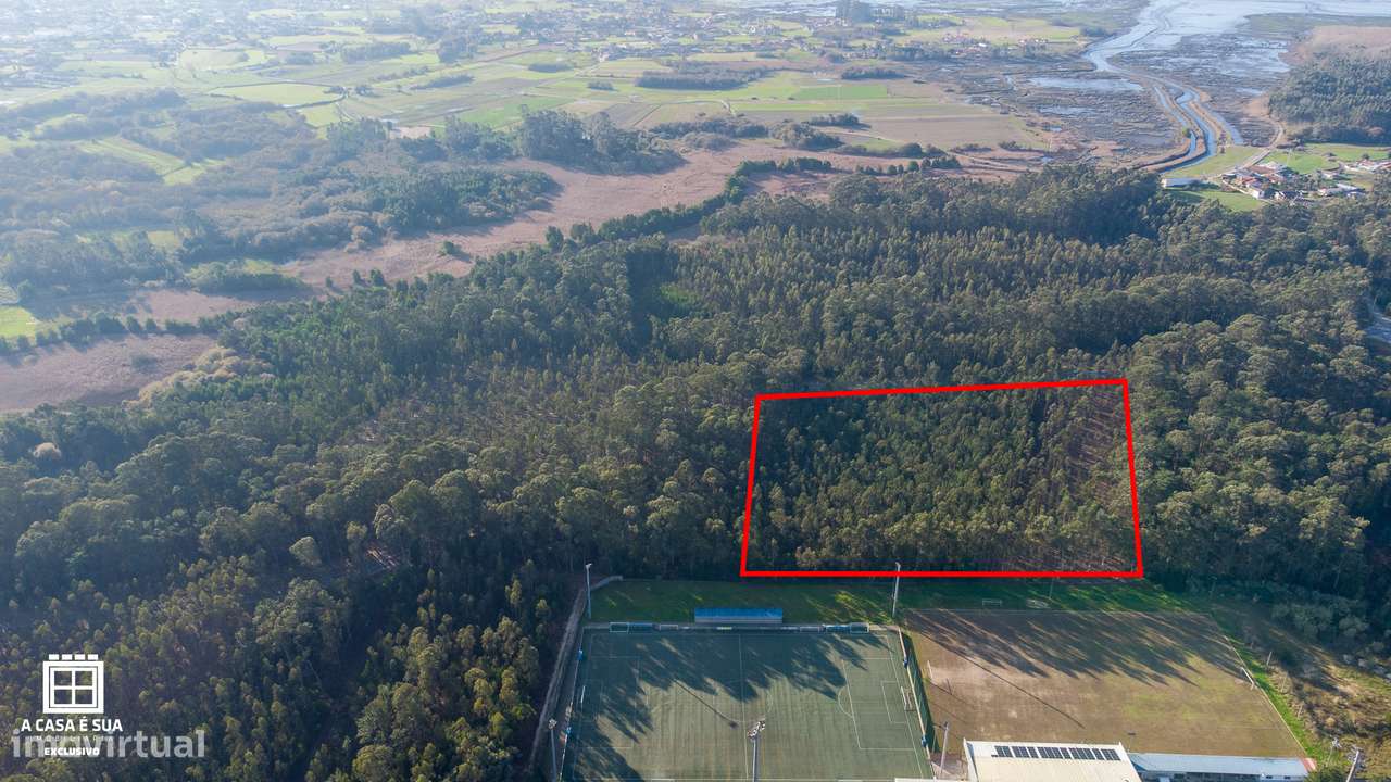 Terreno rústico com 17.800 m² em Avanca - Exclusivo - Grande imagem: 2/14