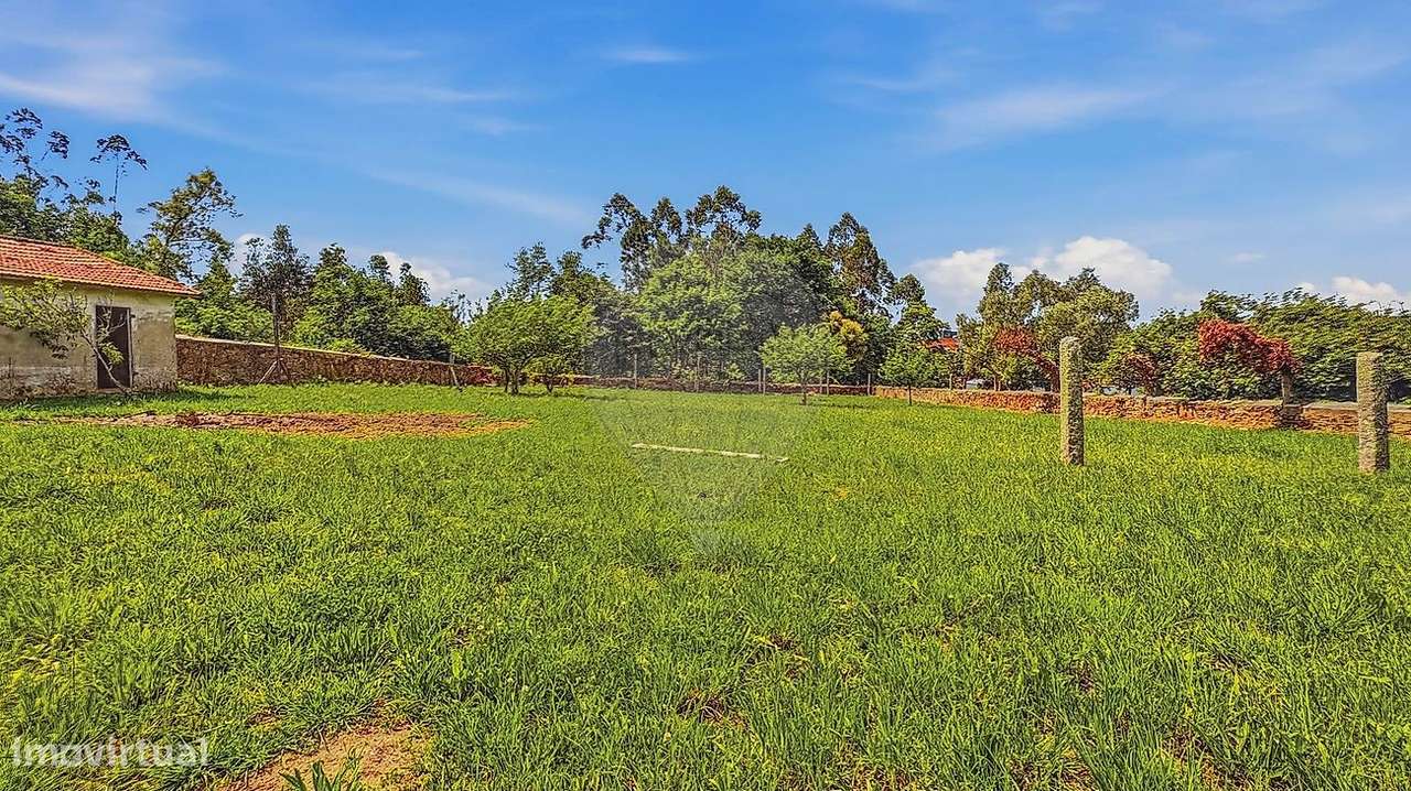 Quinta T4 para venda-1