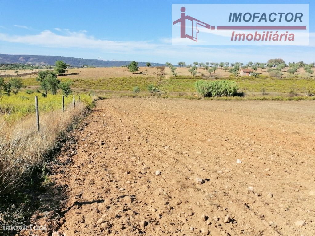 Terreno Agrícola com Poço e Olival - Perais - Vila Velha Ródão