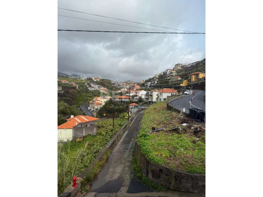 MORADIA T3 || CÂMARA DE LOBOS-36