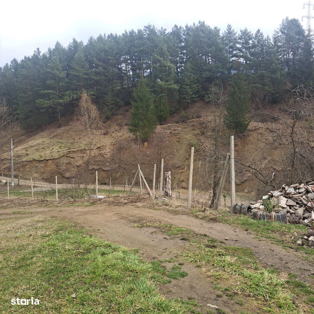 Teren Intravilan zona Alexandru Cel Bun