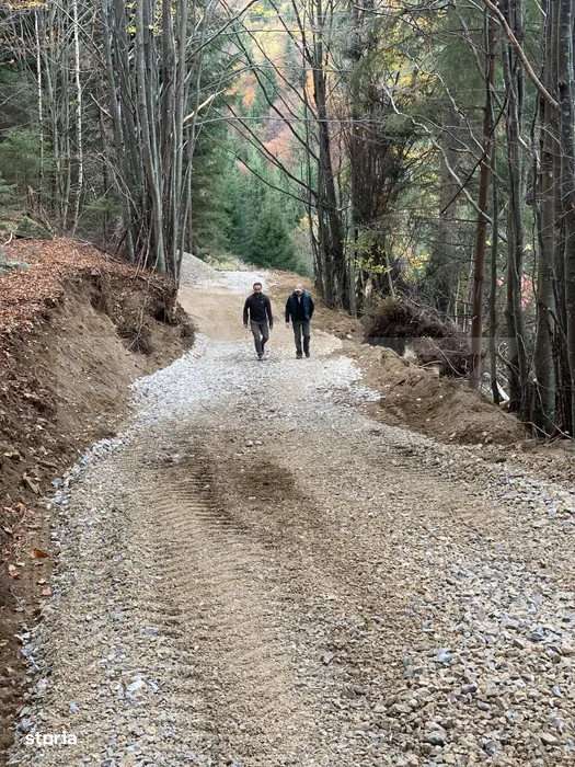 Teren Intravilan 4000 mp, Valea Draganului, - Imagine principală: 4/6