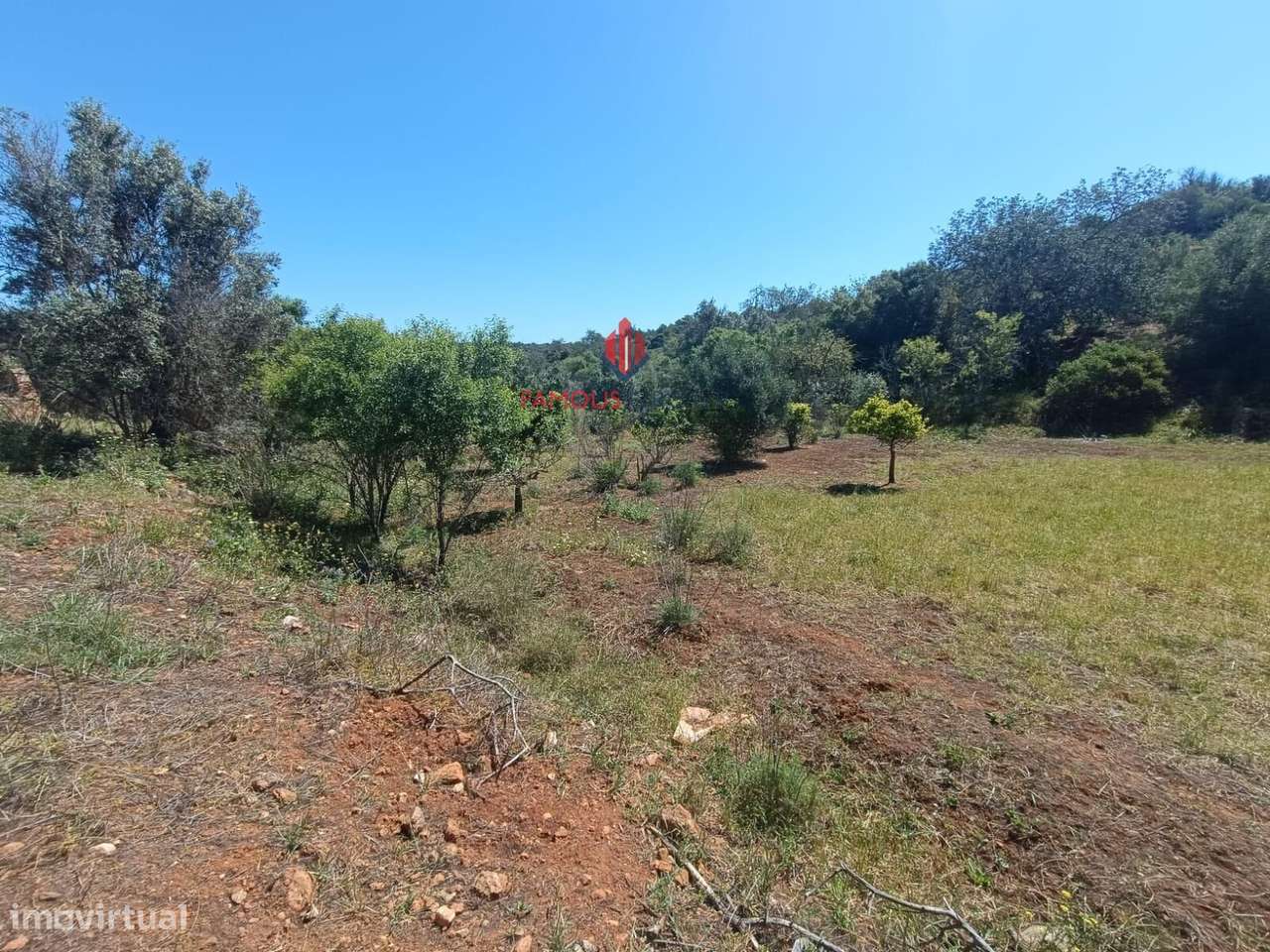 Quinta com 9 Hectares , junto ao rio Arade excelente investimento-12