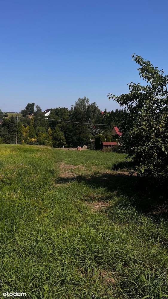 Sprzedam działkę budowlaną Łysokanie, okolice Niepołomic i Krakowa - Pełny obrazek: 4/7