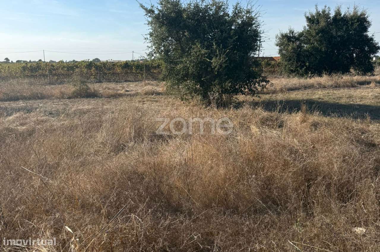 Terreno Rustico para Agricultura-1