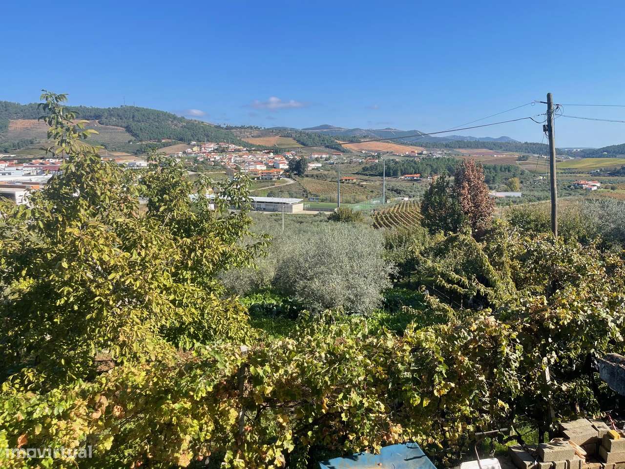 QUINTA EM MURÇA | CASA SENHORIAL | OPORTUNIDADE INVESTIMENTO-36