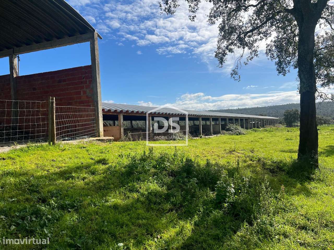 Herdade  Venda em Raposa,Almeirim-11